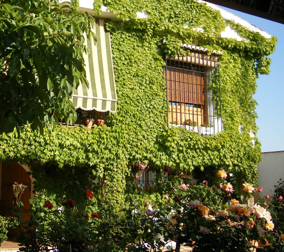 2 casa