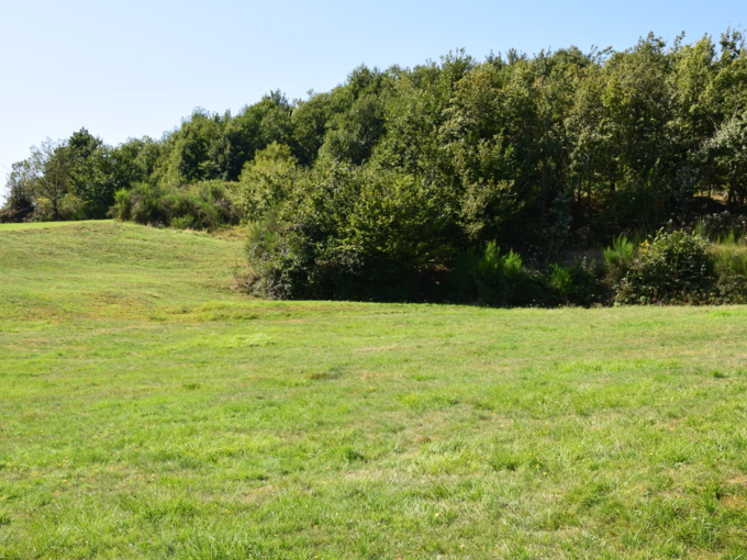 DSC0150-1583527800762