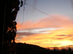 29 atardecer