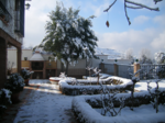 30 nieve