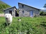 argo casa-1566161243009