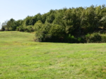 DSC0150-1583527800762